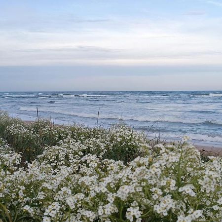 House Albena Hotel ดูรานคูลาค ภายนอก รูปภาพ