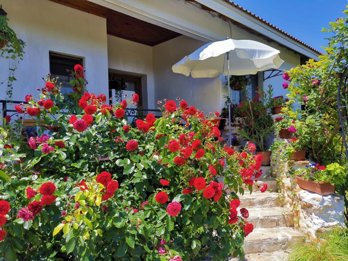 House Albena Hotel ดูรานคูลาค ภายนอก รูปภาพ