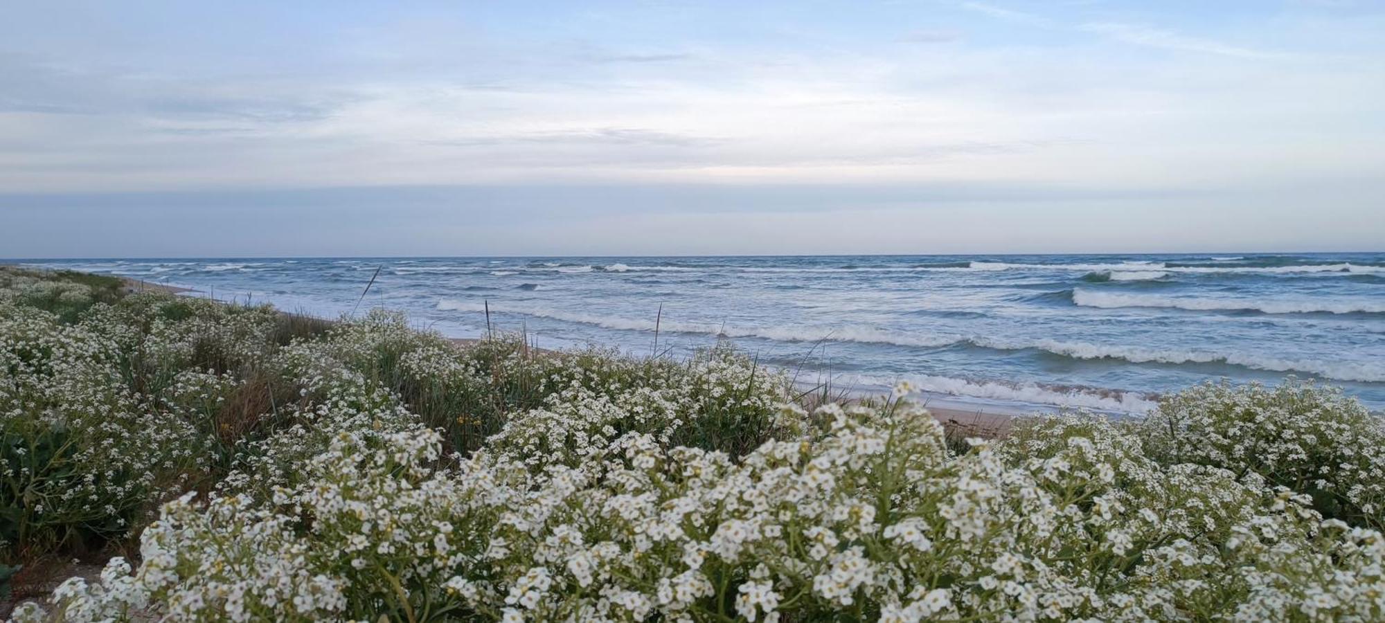 House Albena Hotel ดูรานคูลาค ภายนอก รูปภาพ